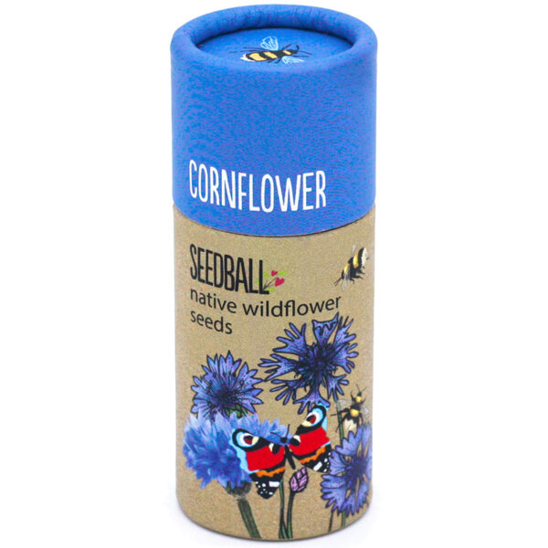 Seedball Tube - Cornflower